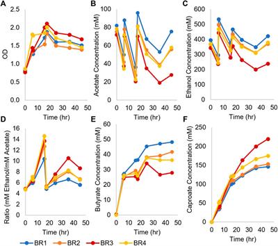 The potential of caproate (hexanoate) production using Clostridium kluyveri syntrophic cocultures with Clostridium acetobutylicum or Clostridium saccharolyticum